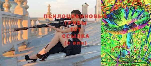 хмурый Козельск