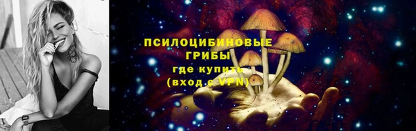 mdpv Кинешма