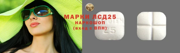 хмурый Козельск