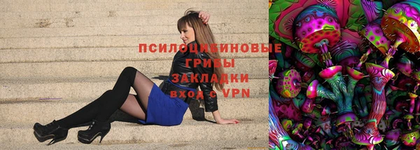 хмурый Козельск