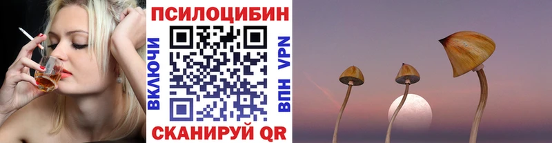 mega как войти Кириши Псилоцибиновые грибы MAGIC MUSHROOMS