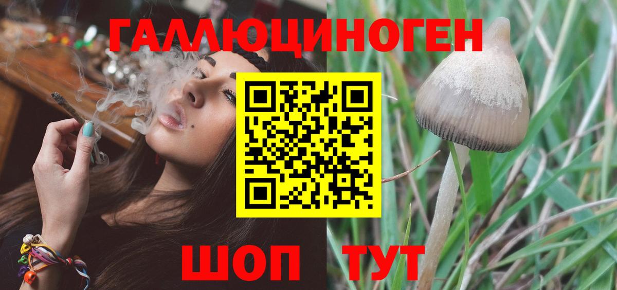 Галлюциногенные грибы Magic Shrooms Кириши