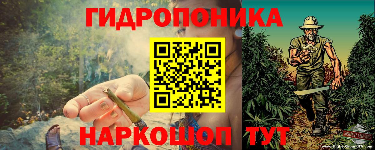Бошки Шишки сатива Кириши